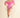 Tulle Off The Shoulder Ruffle Bodysuit